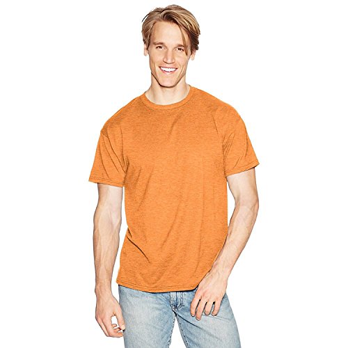 Preisvergleich Produktbild Hanes Adult X-Temp Unisex Performance T-Shirt