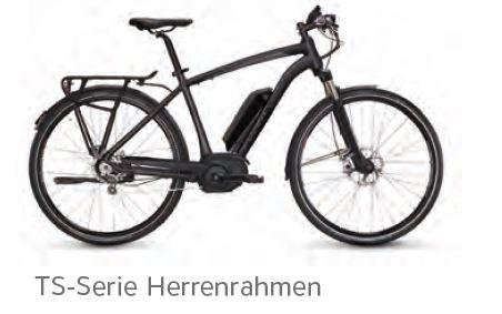 Preisvergleich Produktbild E-Bike Flyer TS 7.30 Herren Gr.M 50 cm 192 km TESTRAD Topzustand
