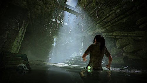 Shadow Of The Tomb Raider Est  ndar  Edici  n Exclusiva Amazon 
