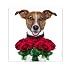 Produktbild Kühlschrank-Magnet Hund "CHICO - DER ROSENKAVALIER"