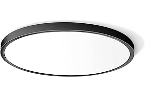 LIGHTINGWILL 12in/30cm 24W LED Flush Mount Ceiling Light, 5000K Daylight White Bathroom Light, 3200LM, Black Round Ceiling Lights, 240W Equivalent Ceiling Lamp for Closets, Kitchens, Hallway, Bedrooms, etc.