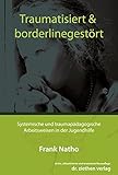 Image de Traumatisiert & borderlinegestört: Systemische und traumapädagogische Arbeitsweisen in der Jugendh