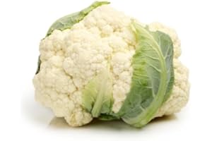 QUAST MEERRETTICH Blumenkohl | Frischer Blumenkohl (2 Stück)