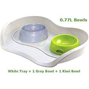 Cat Dog 1Kiwi + 1grau Schüssel 0.77l + Schacht 3Farben Lebensmittel Wasser Gericht Füttern Kätzchen Bone Pet Animal