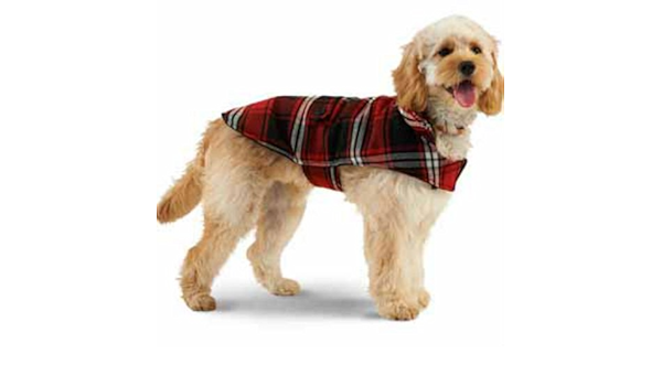 walkright control dog harness