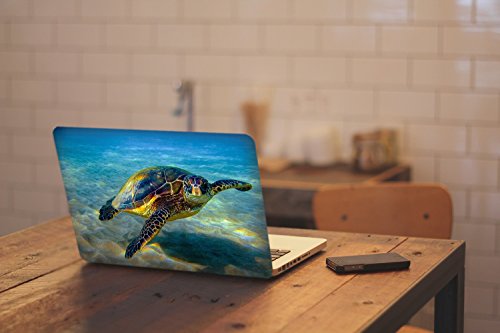 Leben im Meer 10095, Schildkröten, Skin-Aufkleber Folie Sticker Laptop Vinyl Designfolie Decal mit Ledernachbildung Laminat und Farbig Design für Laptop 15.6″ - 3