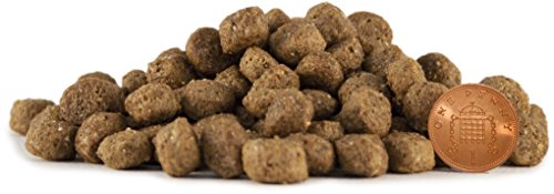 Skinners-Field-Trial-Junior-Dog-Food
