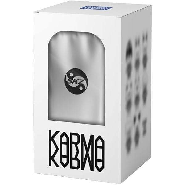 Stray kids [KARMA] 4th Album [SKZOO ver.] + POB : Amazon.in: Toys