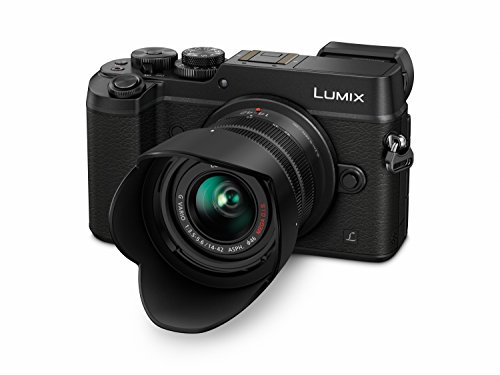 Panasonic Lumix DMC-GX8KEB-K Compact System Camera (20.3 MP, 14-42 mm Lens) - Black