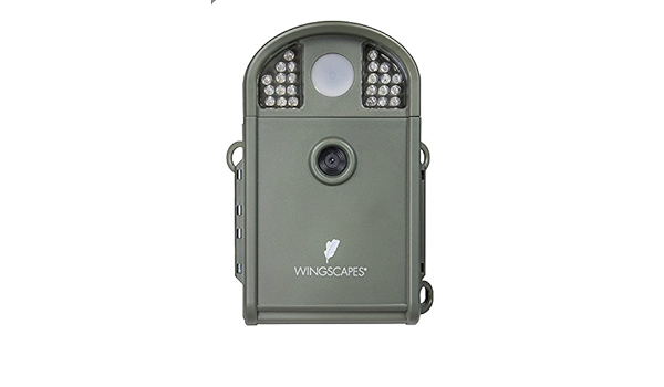 wingscapes birdcam