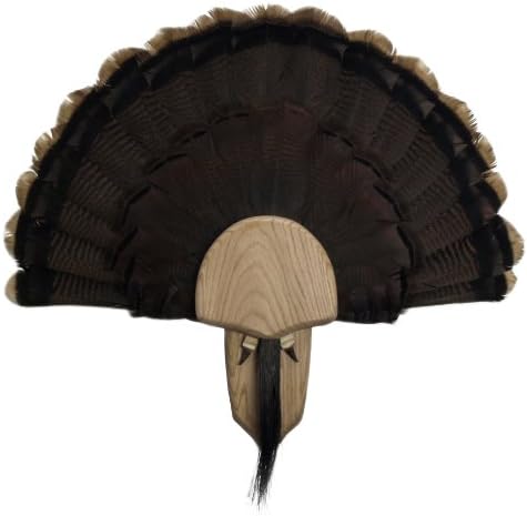 Walnut Hollow Country Turkey Mounting & Display Kit in Solid Oak