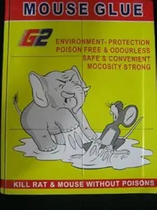 DADDY G Non-Poisonous, Non-Toxic, Odourless Mouse Insect Rodent Lizard Trap Rat Catcher Adhesive Sticky Glue Pad - Set of 5