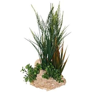 North American Pet Kalktuff Boden mit 38,1cm Pflanze