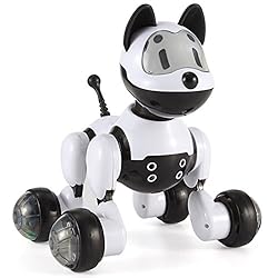 Roboterhund Test Bestseller 2019 Die Besten Interaktive