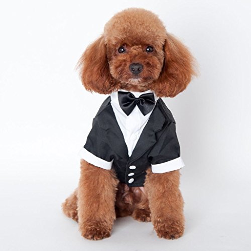 TQP-CK Animali Partito Formale Vestito Costume Cane Abbigliamento Cappotto Abbigliamento
