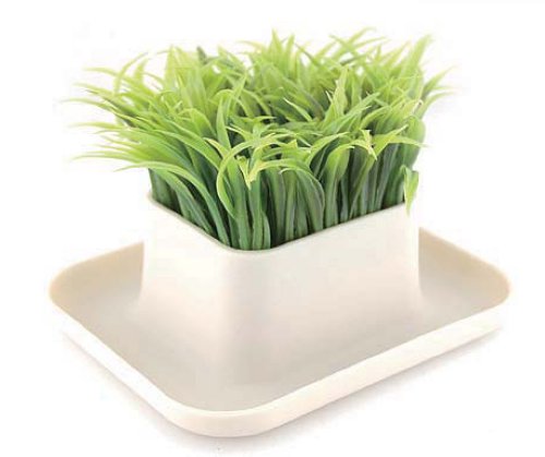 Amour Passion Portalápices Hierba - Accesorio de Escritorio