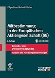 Mitbestimmung in der Europäischen Aktiengesellschaft (SE): Betriebs- und Dienstvereinbarungen (Betriebs- und Dienstvereinbarungen der Hans-Böckler-Stiftung) by 