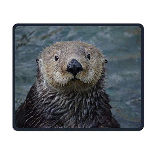 Preisvergleich Produktbild My Otter. Comfortable Rectangle Rubber Base Mousepad Gaming Mouse Pad