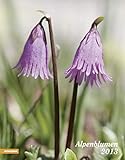 Alpenblumen 2013 by 