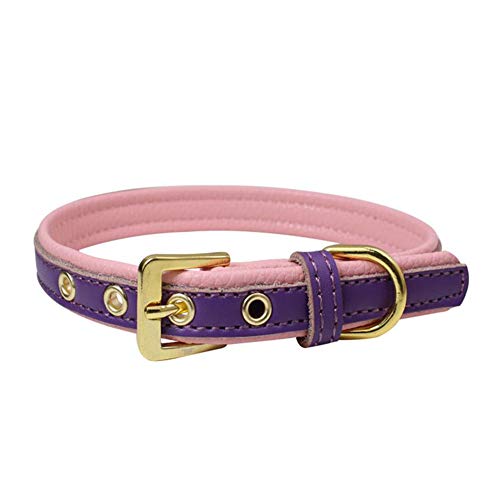 Preisvergleich Produktbild Damoking Erholung Kragen, niedliche stilvolle Bunte Haustier Erholung Kragen Wassermelone M