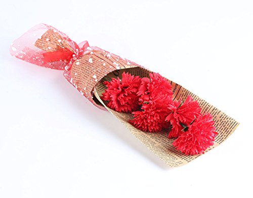 Bouquet Of rot Nelken – Elegant Verpackt von 5 Duft Nelken in bezauberndem Geschenk-Box Beste Geschenk für Jahrestag Geburtstag Mutter und Valentine ’s Day… - 3