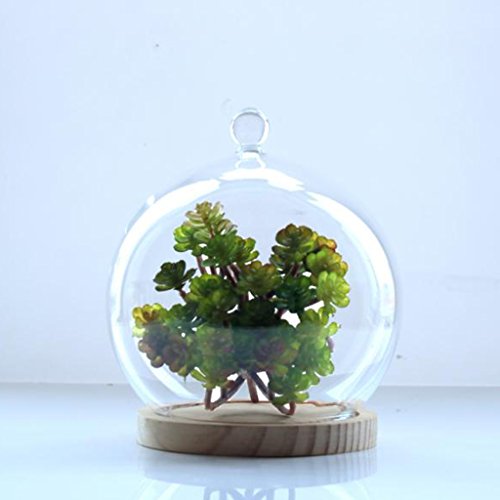 MagiDeal Deko Glasglocke mit Holzboden , Transparent Glas Behälter Micro Landschaft Garten DIY Terrarium Container Dekoration – mit kleinen Kugel, 15x18cm - 5
