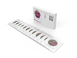 yogurt probiotico la serenisima Úsalo con todos tus utensilios para preparar yogur