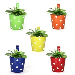 Homspurts Dotted Round Railing Planters,Rust-Free Hanging Planter,Pot/Buckets for Hanging in Balcony/Home/Garden Decor (Multicolour, Pack of 5)