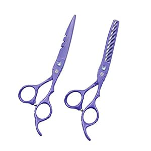 6 0 Inch Purple Dragon Violet Color Salon Hair Care Professional