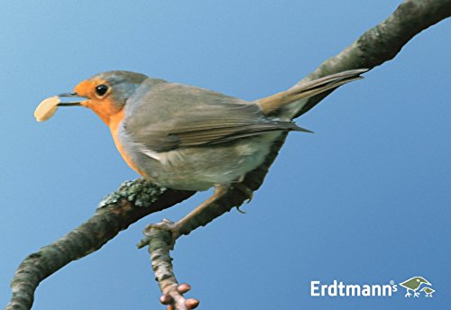 Erdtmanns Wildvogelfutter-Starter-Paket, 1er Pack (1 x 2.15 kg) - 19