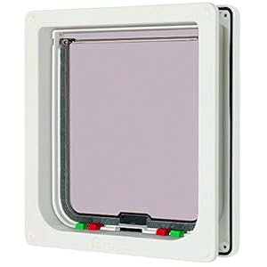 Nom Chat X Nom De Chat Commencant Par La Lettre X Nomchat Com Nom Chat X Nom De Chat Commencant Par La Lettre X Nomchat Com