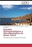 Image de Estudio histopatológico y microbiológico en Neón Tetra: Procedentes de la Amazonía Peruana