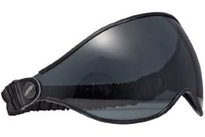 GZM DMD Vintage Google Fume Visier Brille mit Band