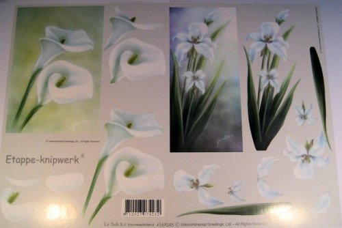 Preisvergleich Produktbild 3 D Etappen Bogen (A4) Aronstab von Le Suh