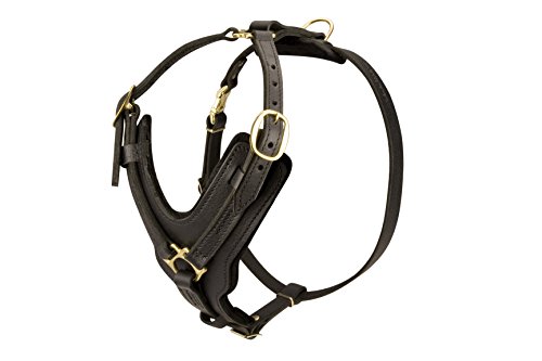 Preisvergleich Produktbild Multifunktional Leder Bullmastiff Hundegeschirr Verstellbare mit Y-Brust – Medium