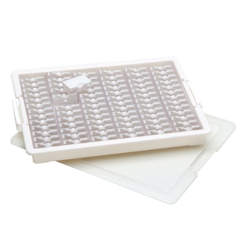 Darice Bead Storage Organizer, Transparent