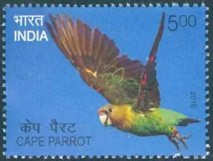 Exotic Birds; Cape Parrot - MNH