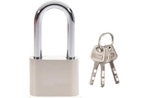 ZOREI Cadenas long, acier inoxydable, Cadenas anti-échafaudage avec clés (50 mm Arco 47 x 23 mm Poids 280 g)