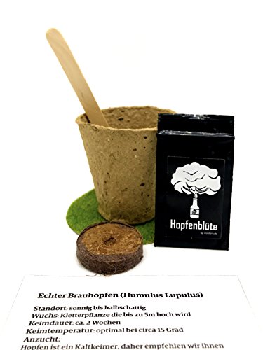 HOPFENBLÜTE Männergeschenk – Woodora Hopfen Samen Anzuchtset – Geschenk für Bierliebhaber – witziges Geburtstagsgeschenk - 2
