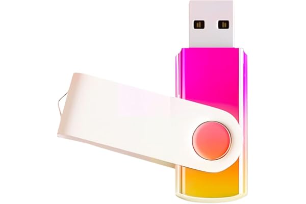 1 Pack Or Rose 64 Go Clé USB Dégradé Couleur USB 2.0 Memory Stick Vente en Gros En Vrac Pivotant Design Pouce Drive pour Stockage de Données