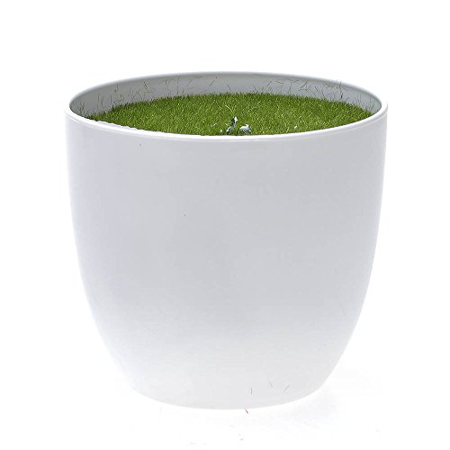 Kompassswc künstlicher bonsaibaum Kunstbonsai Kunstpflanzen MIT Töpfchen Zimmer Party Dekor Kunstbäume Topfpflanzen 26cm Höhe (Grün) - 5