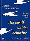 Die zwölf wilden Schwäne by 