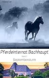 Septembersturm (Pferdeinternat Bachhaupt 1) by