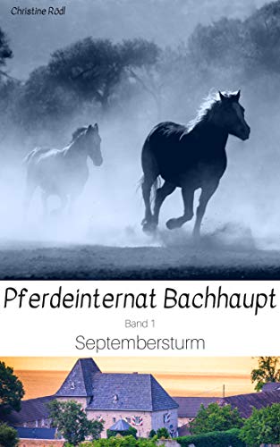 Septembersturm (Pferdeinternat Bachhaupt 1)