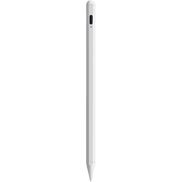 iPad本体 iPad Mini 6 + Apple Pencil + extra iPad mini - Apple (ZA)