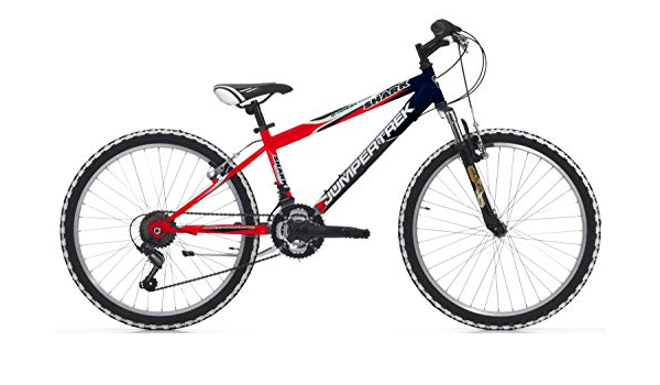 Cicli Cinzia Bicicletta 24\