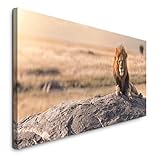 Mit Fine Art Prints von Sinus Art bietet sich eine einfache und wunderbare Möglichkeit Ihre Wohnräume zu gestalten. Verschönern Sie Ihr Wohnzimmer, Schlafzimmer, Kinderzimmer, Küche, Flur, Arbeitszimmer oder Büro und gestalten sie sich Ihr persönliches Wohlfühlambiente.