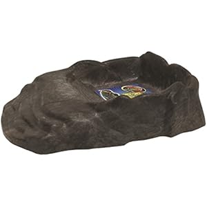 Zoo Med RRB-11E Repti Ramp Bowl, LG, Futternapf mit Stufen zur Einstiegshilfe für Reptilien