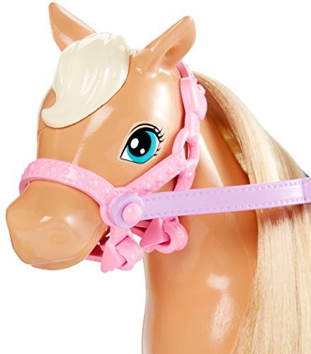 Barbie DYL42 Chelsea und Pferd, Mehrfarbig - 7