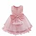 iEFiEL Baby Girl's Princess Dresses Flower Wedding Party Bowknot Lace Tulle Dress Pink 18-24 Months